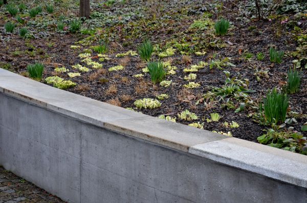 Erosion Control Installation - Erosion Control Installation Georgetown, Texas