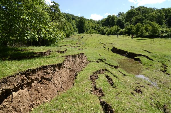 Lawn Erosion Stabilization